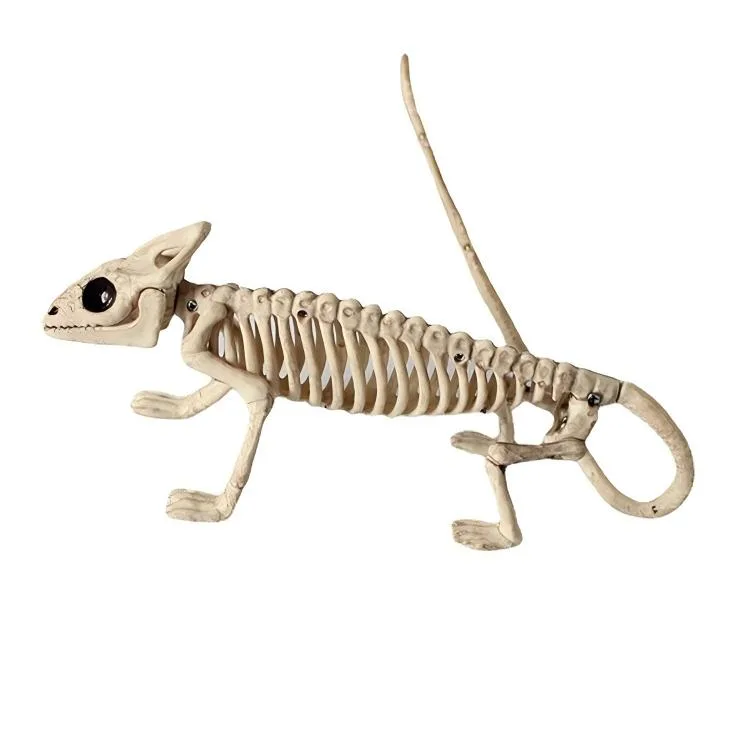Lizard skeleton prop