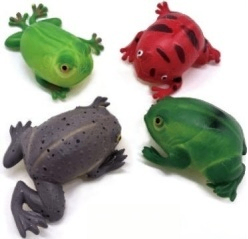 TPR  Card-Sucking  Frog