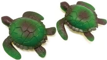 TPR Turle