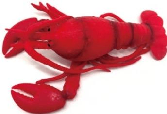 TPR Squeeze The Lobster